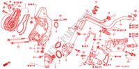 WASSERPUMPE/SENSOR(TYPE R) für Honda CIVIC TYPE R 3 Türen 6 gang-Schaltgetriebe 2003